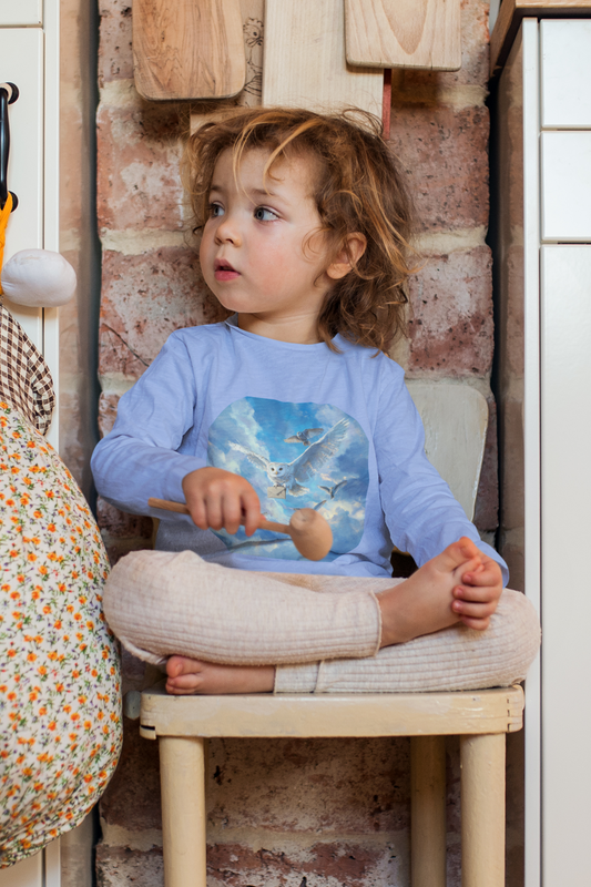 Owl mail -Toddler Long Sleeve Tee